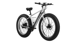SONDORS X electric bike