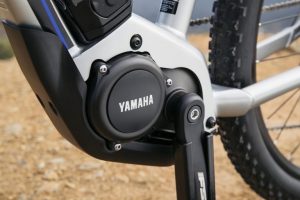 Yamaha Ydx Torc bicycle