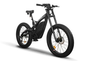 EMMO OXE Bicycle