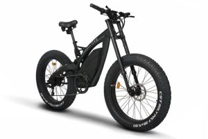 EMMO OXE Bicycle